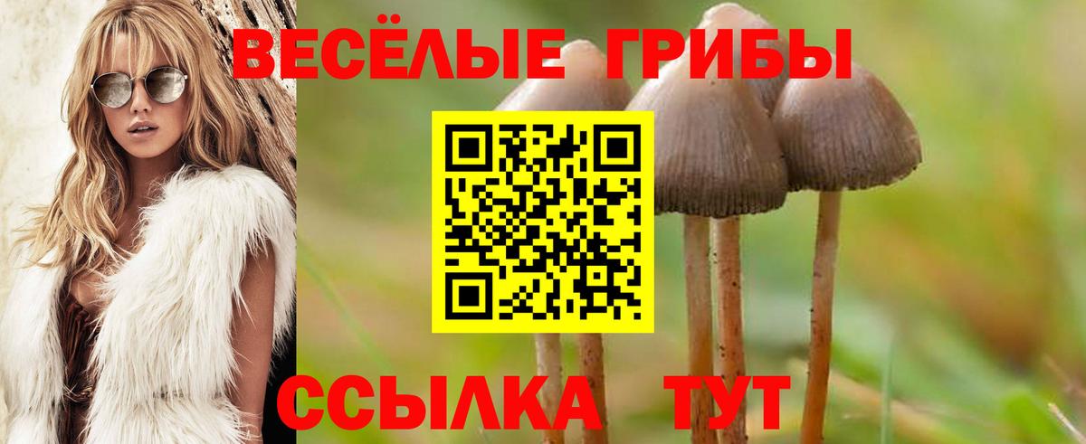 Галлюциногенные грибы MAGIC MUSHROOMS Чита