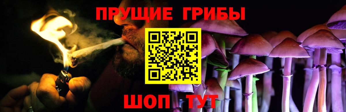 Псилоцибиновые грибы Psilocybe  Вход с VPN  как найти   Чита 